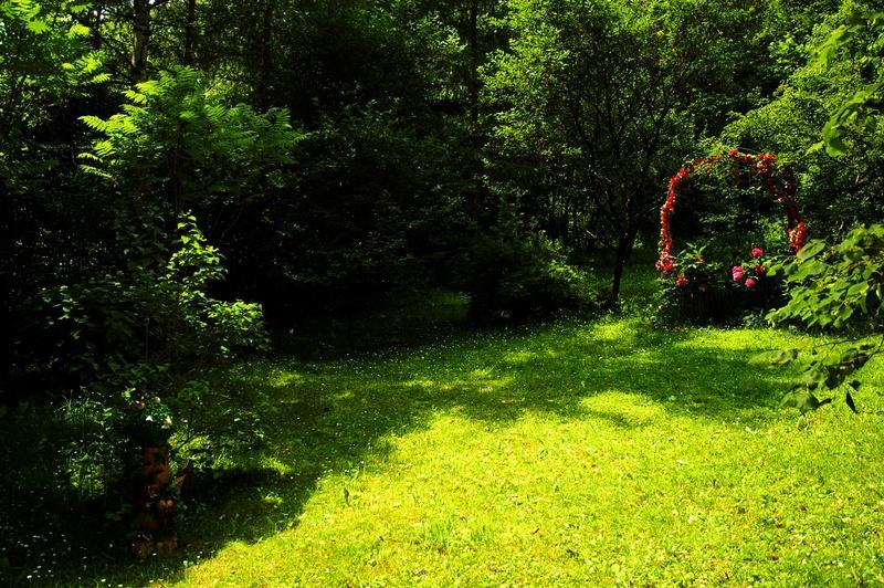 Raj Muszyna Apartamenty Z Widokiem Na Panorame Gorska Экстерьер фото