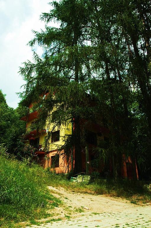 Raj Muszyna Apartamenty Z Widokiem Na Panorame Gorska Экстерьер фото